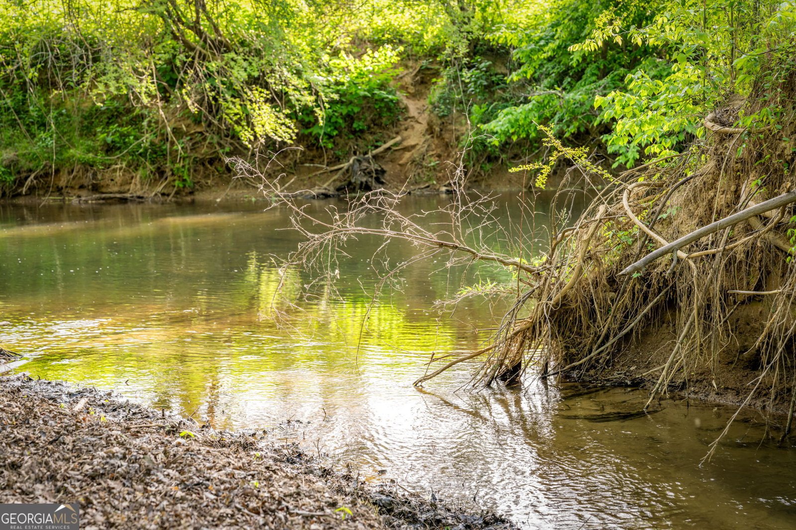 460 Wikle Drive Ellijay - Photo 71