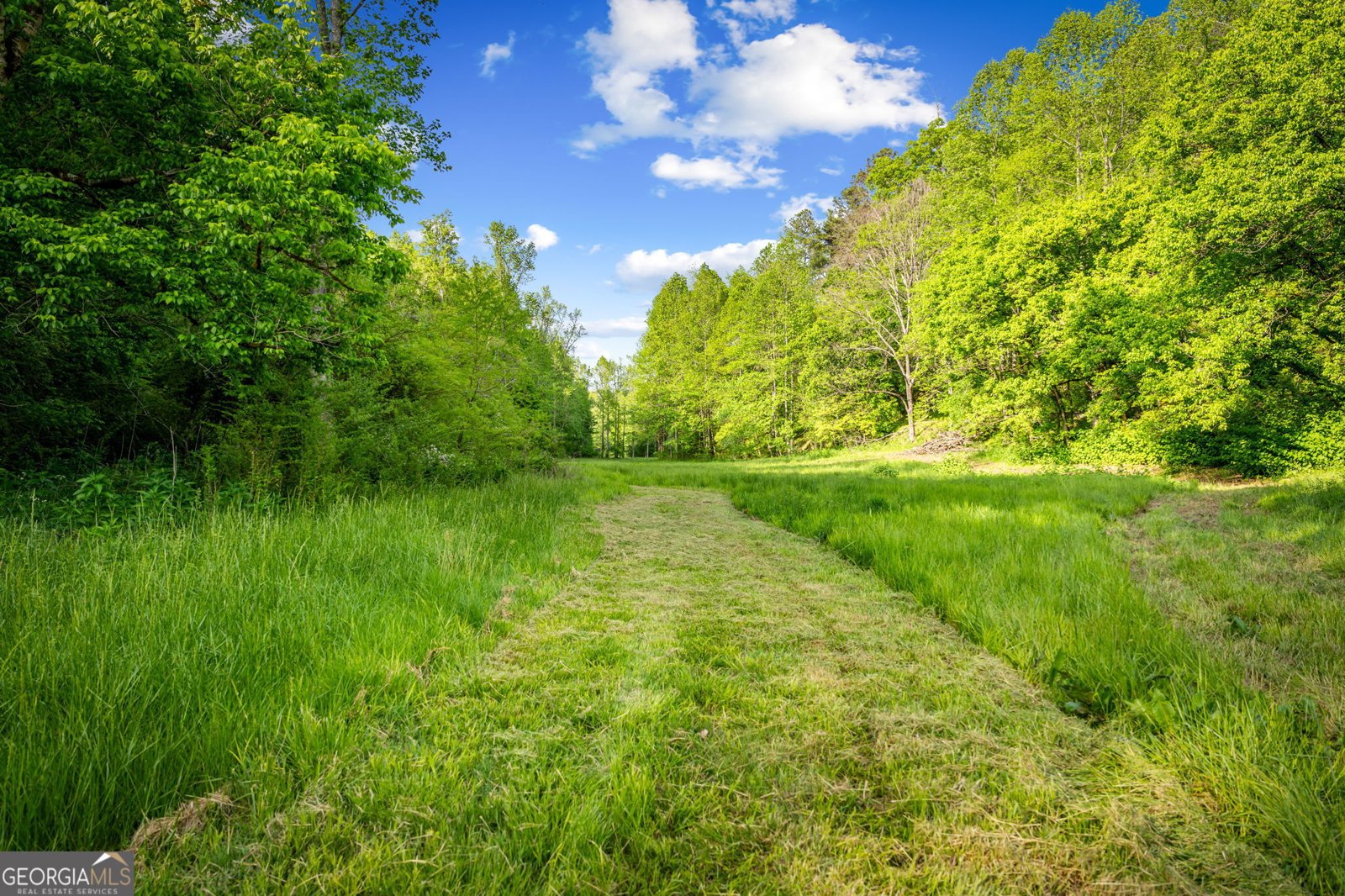 460 Wikle Drive Ellijay - Photo 72