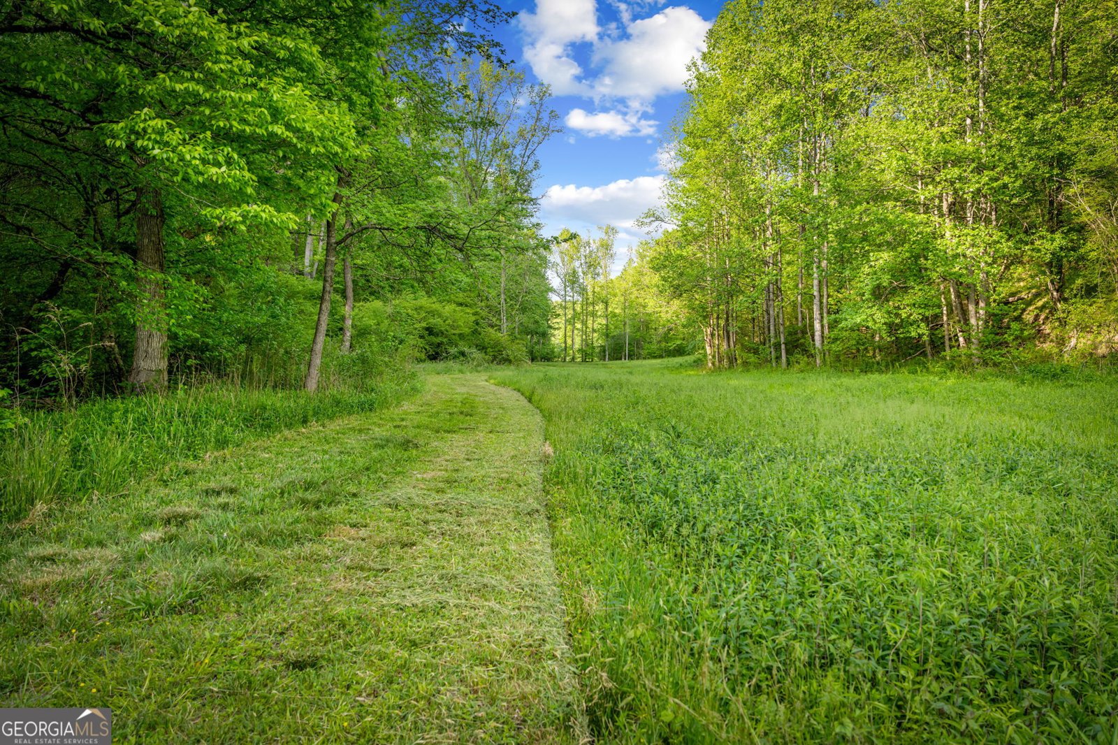 460 Wikle Drive Ellijay - Photo 73