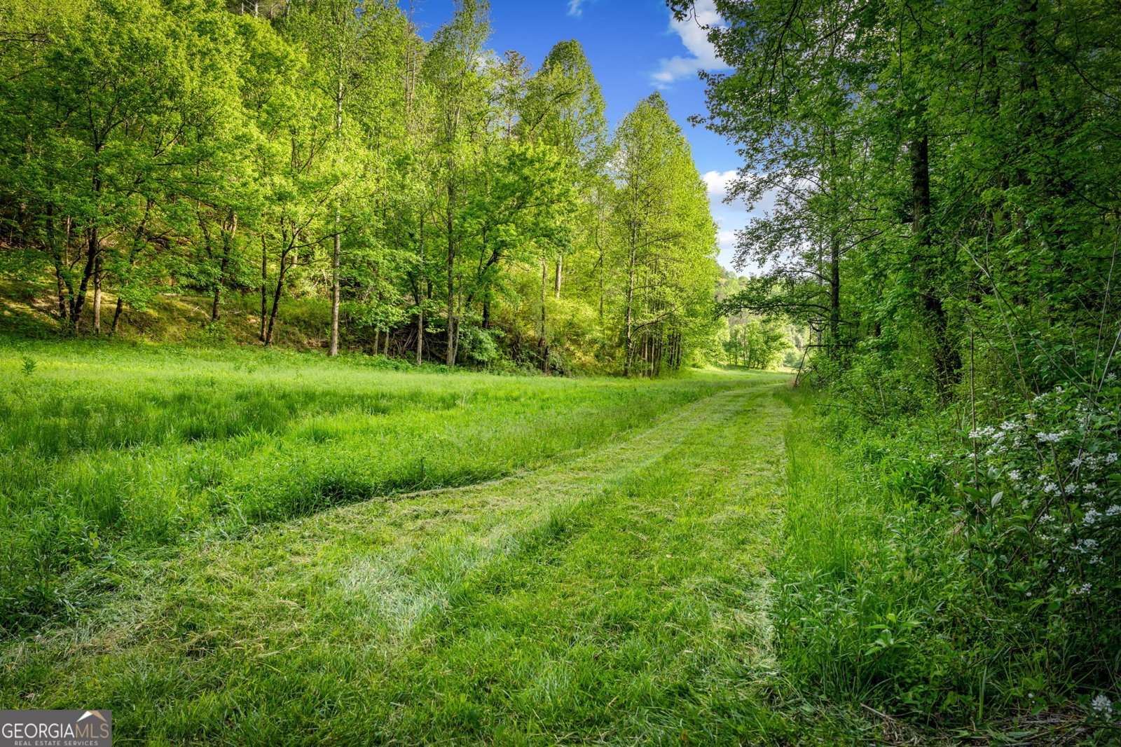 460 Wikle Drive Ellijay - Photo 74