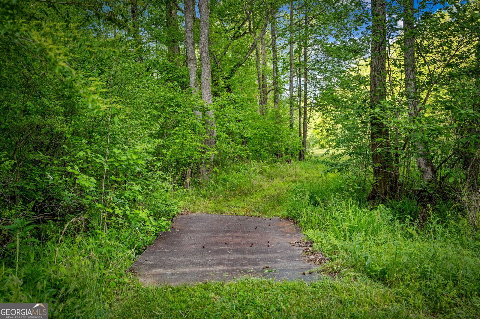 460 Wikle Drive Ellijay - Photo 75