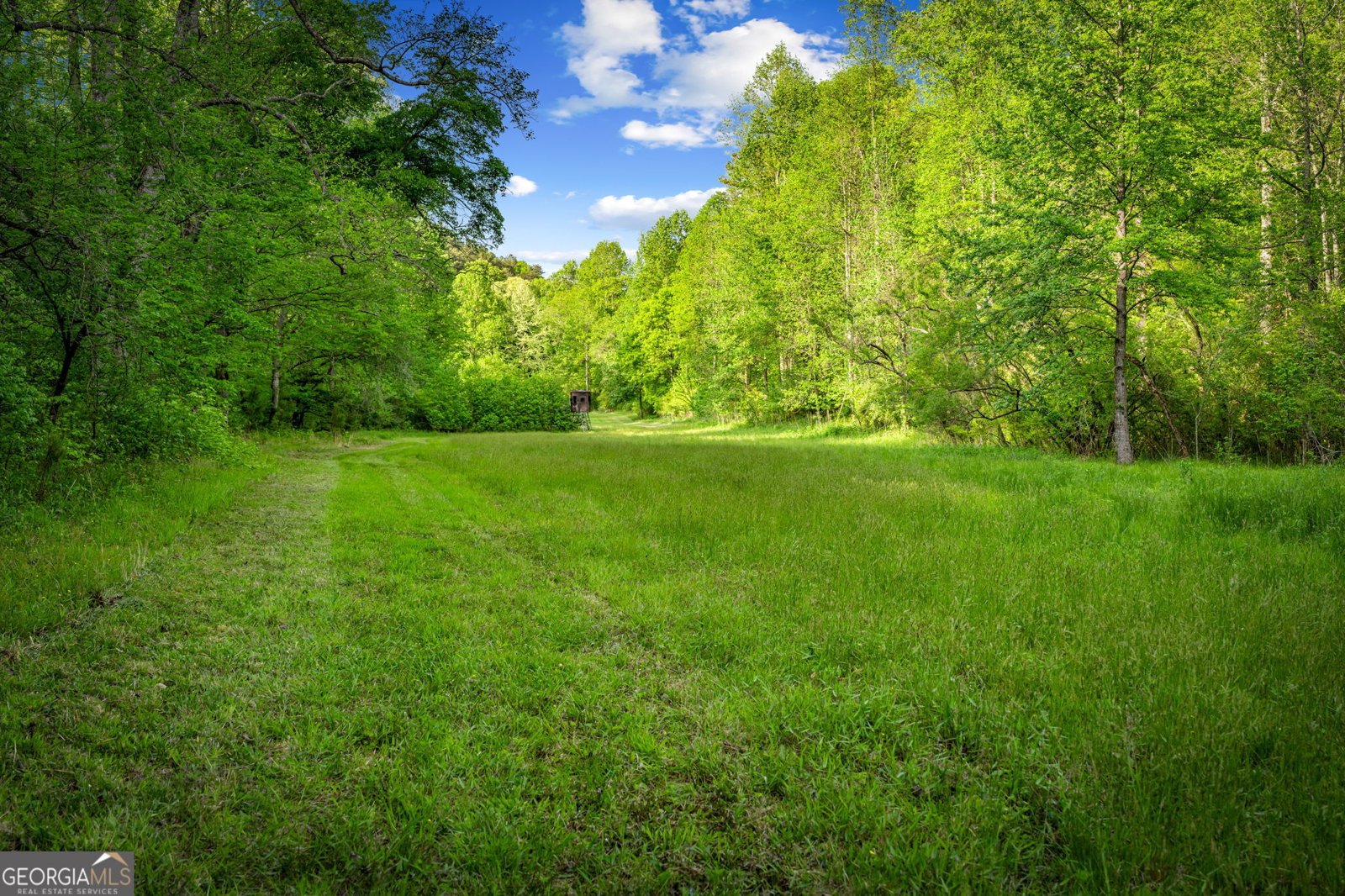 460 Wikle Drive Ellijay - Photo 76