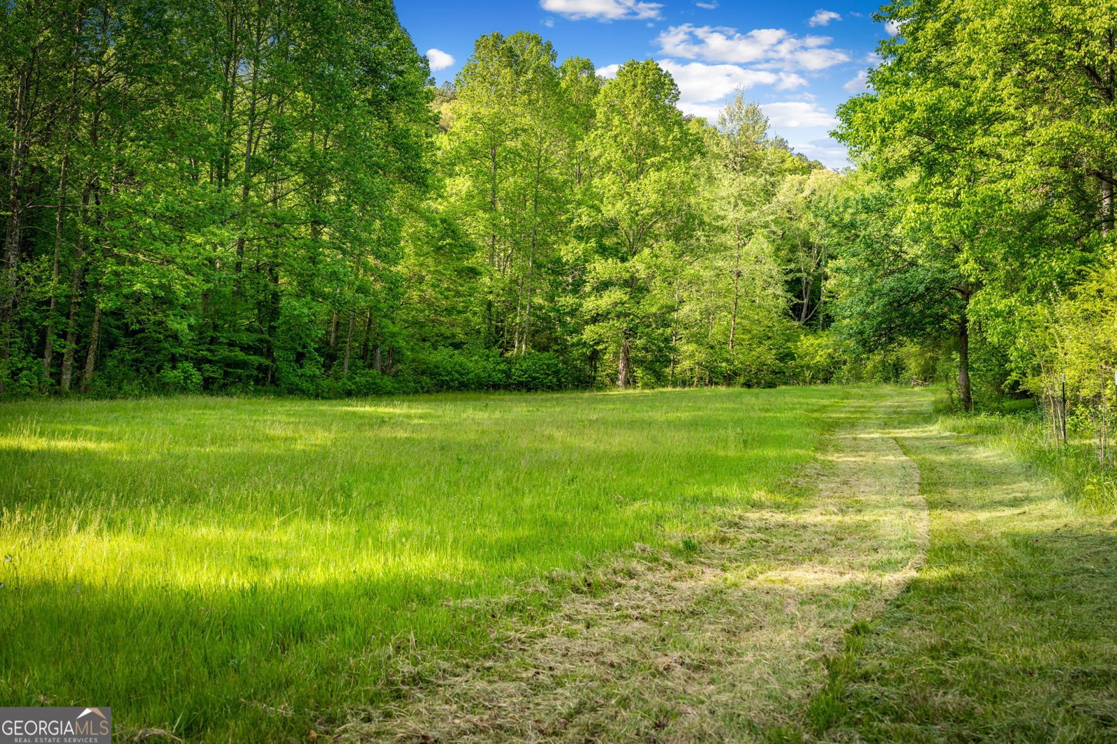 460 Wikle Drive Ellijay - Photo 77