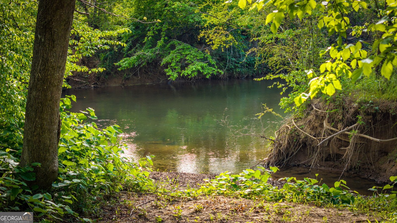 460 Wikle Drive Ellijay - Photo 78