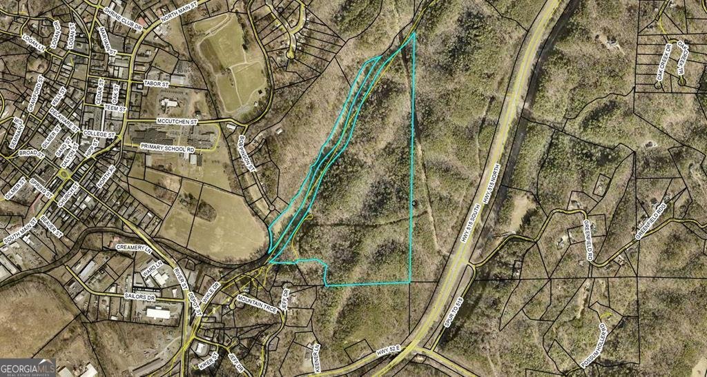 460 Wikle Drive Ellijay - Photo 83