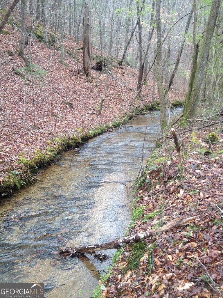 460 Wikle Drive Ellijay - Photo 86