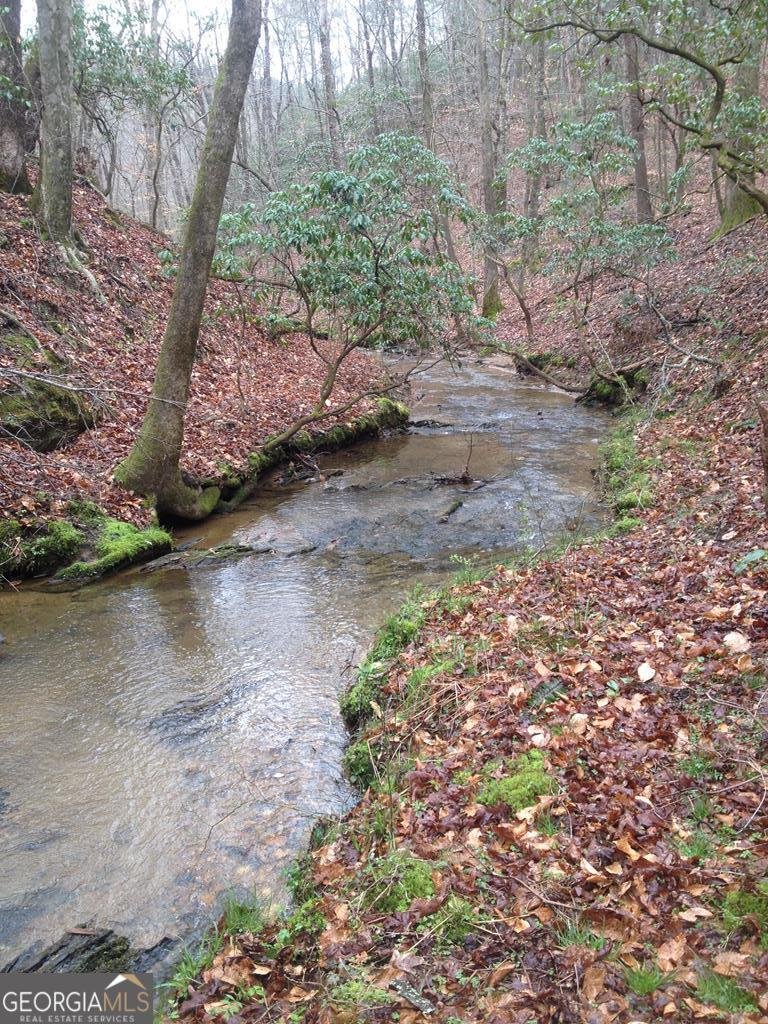 460 Wikle Drive Ellijay - Photo 87