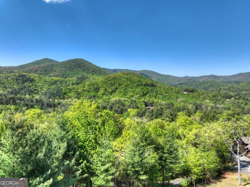 459 Quail Ridge Road Blue Ridge - Photo 28