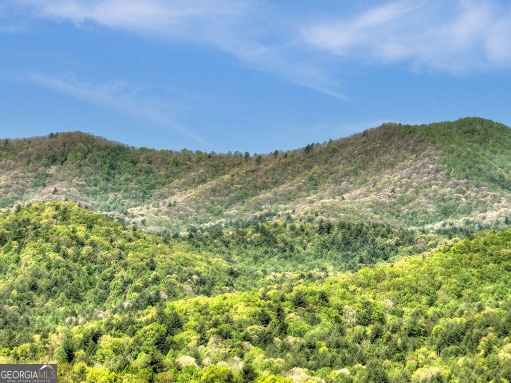 459 Quail Ridge Road Blue Ridge - Photo 42