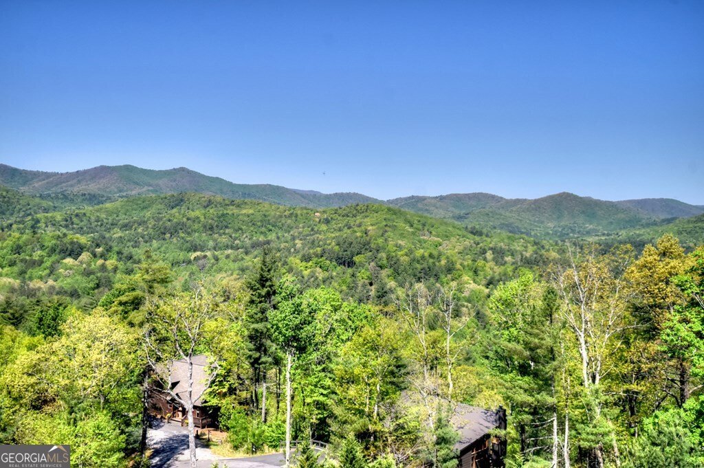 459 Quail Ridge Road Blue Ridge - Photo 46