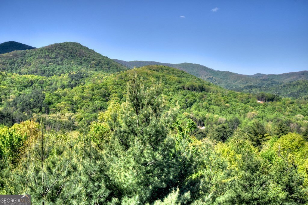 459 Quail Ridge Road Blue Ridge - Photo 53