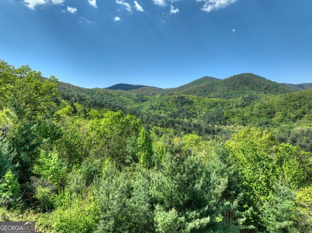 459 Quail Ridge Road Blue Ridge - Photo 55