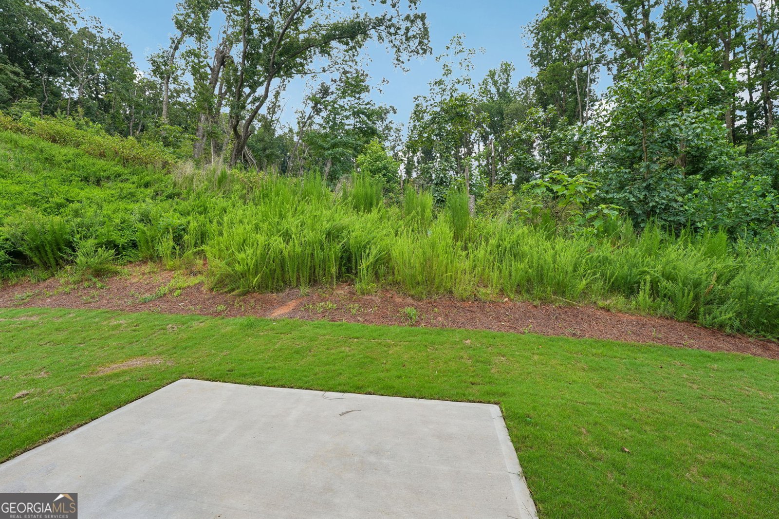 5205 Abdulla Drive Cumming - Photo 55