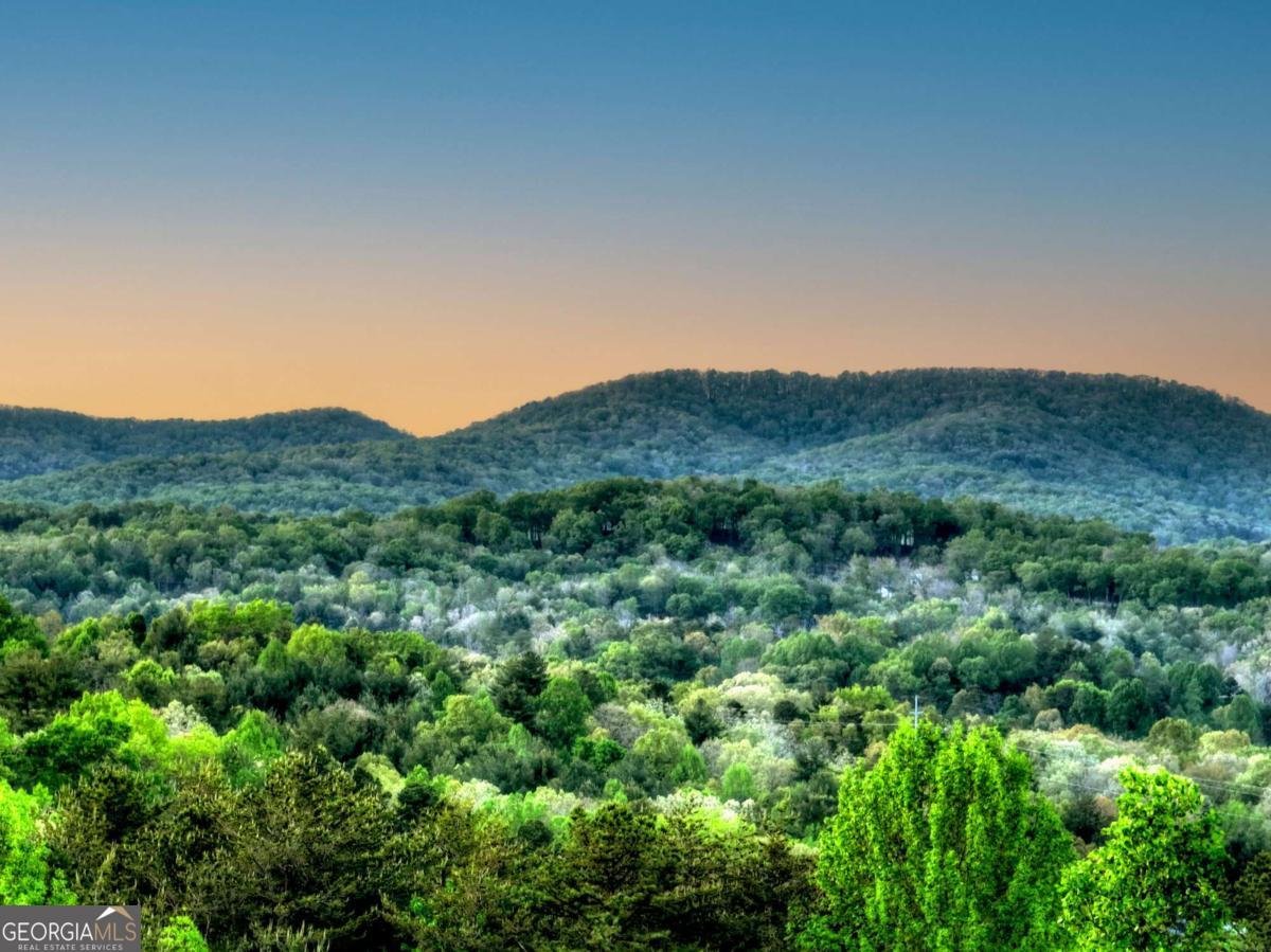 329 Robinson Thomas Road Morganton - Photo 37