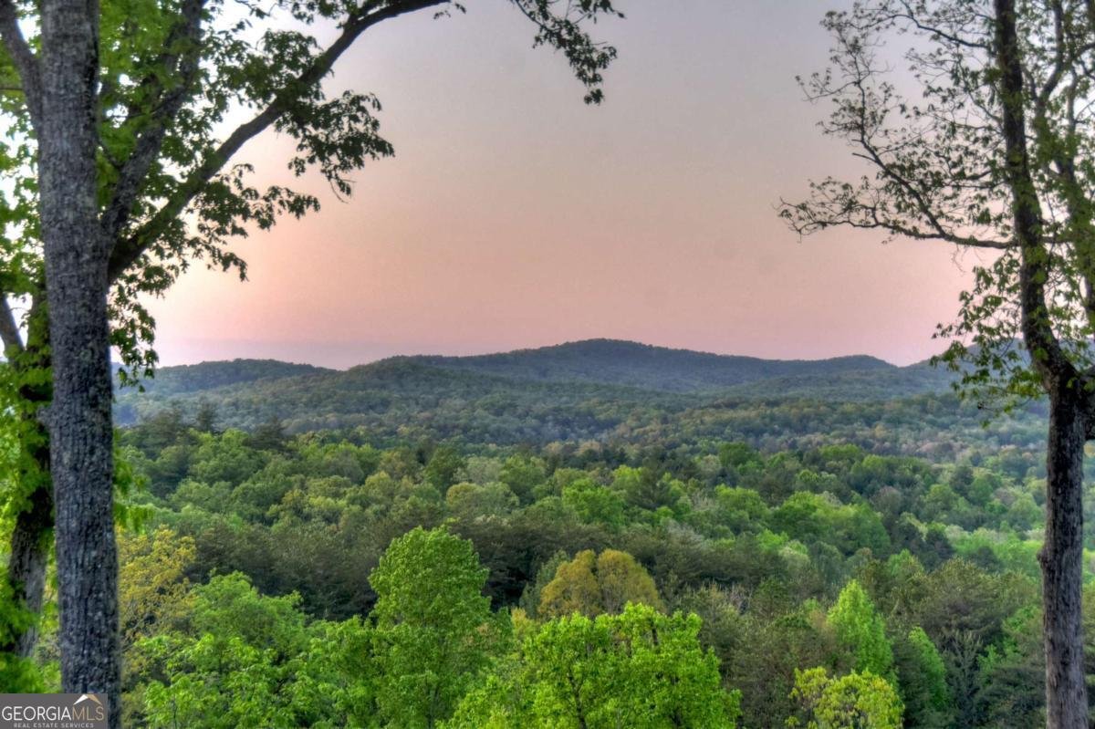 329 Robinson Thomas Road Morganton - Photo 41