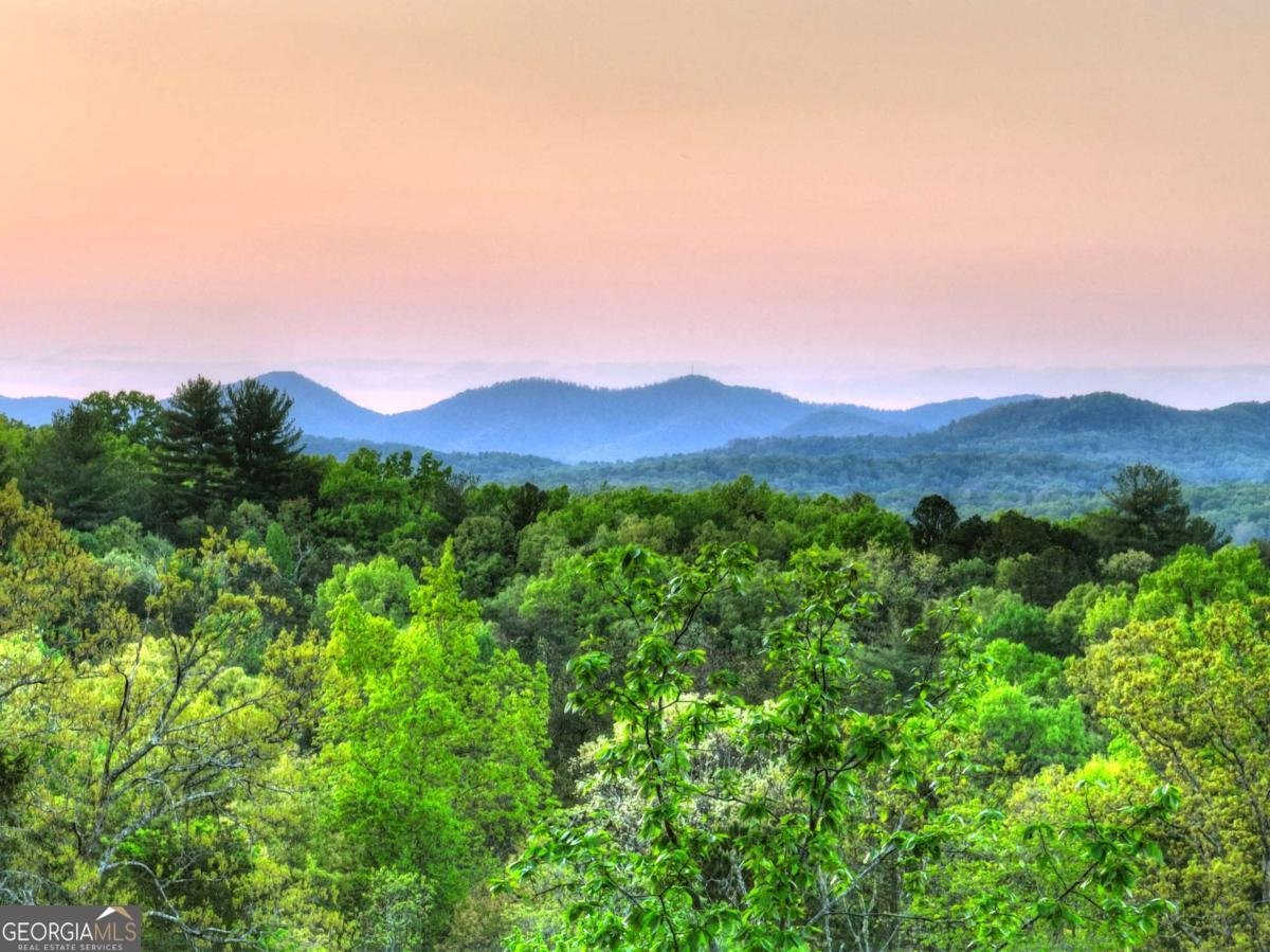 329 Robinson Thomas Road Morganton - Photo 42