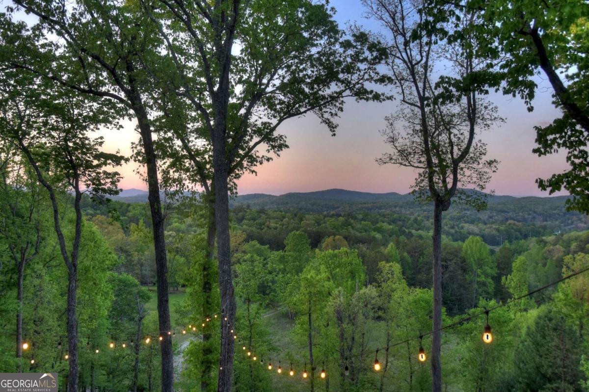 329 Robinson Thomas Road Morganton - Photo 67