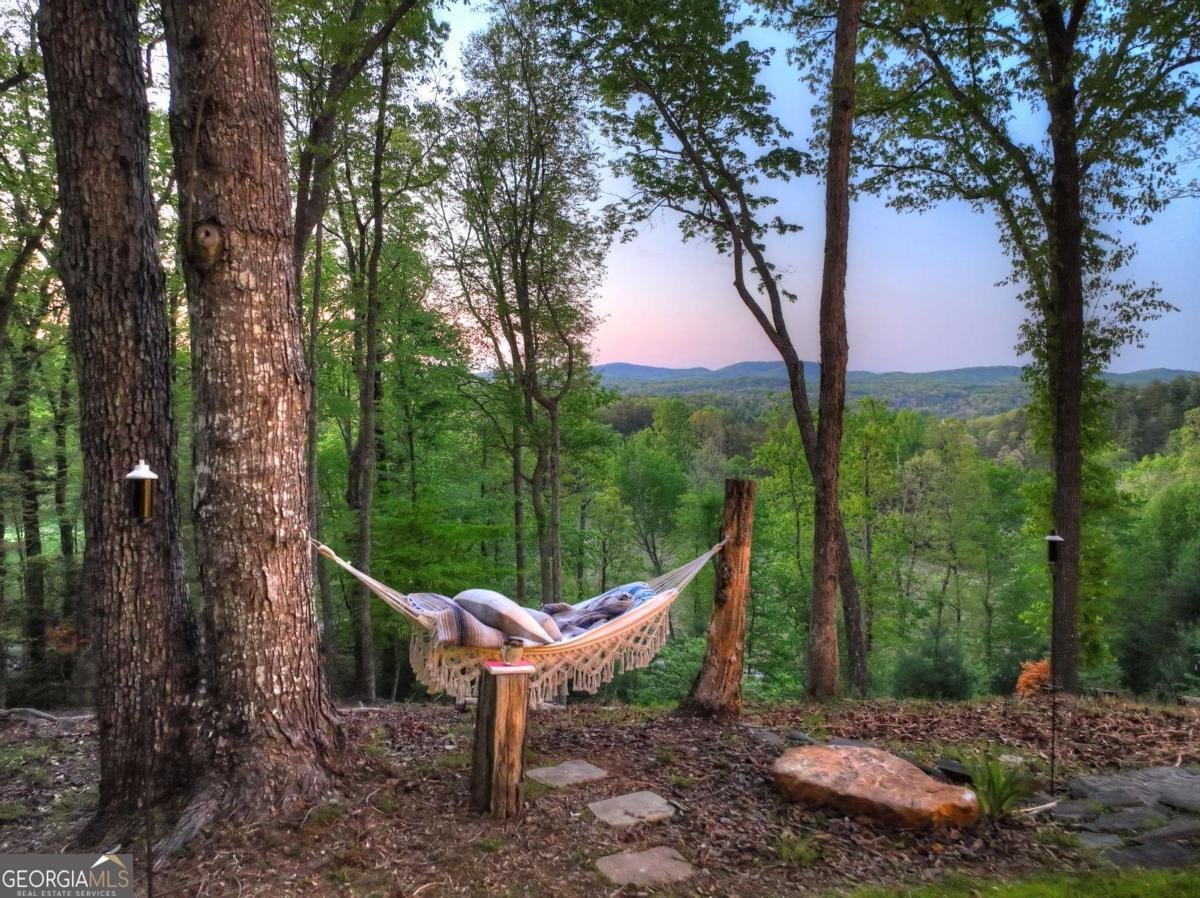 329 Robinson Thomas Road Morganton - Photo 78