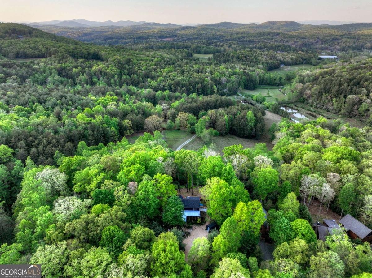 329 Robinson Thomas Road Morganton - Photo 90