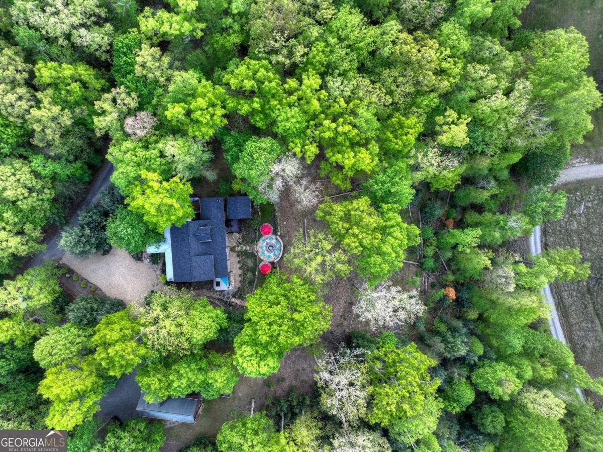 329 Robinson Thomas Road Morganton - Photo 91