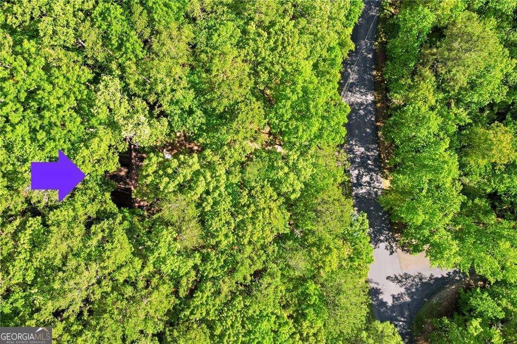 147 Lone Bear Drive Waleska - Photo 37