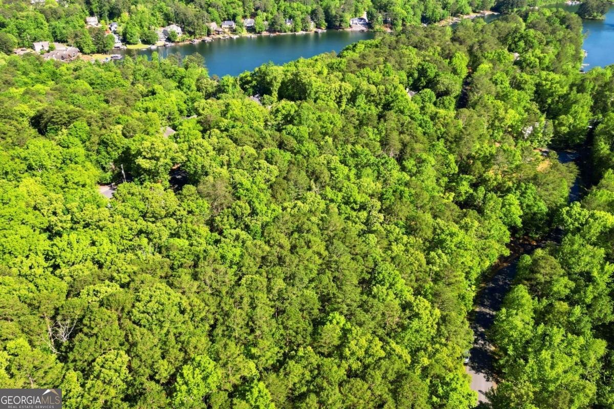 147 Lone Bear Drive Waleska - Photo 40