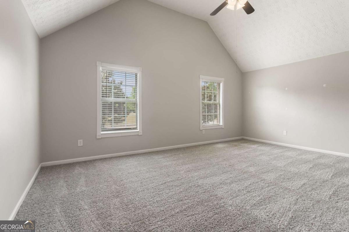 184 Sunflower Meadows Drive Mcdonough - Photo 14