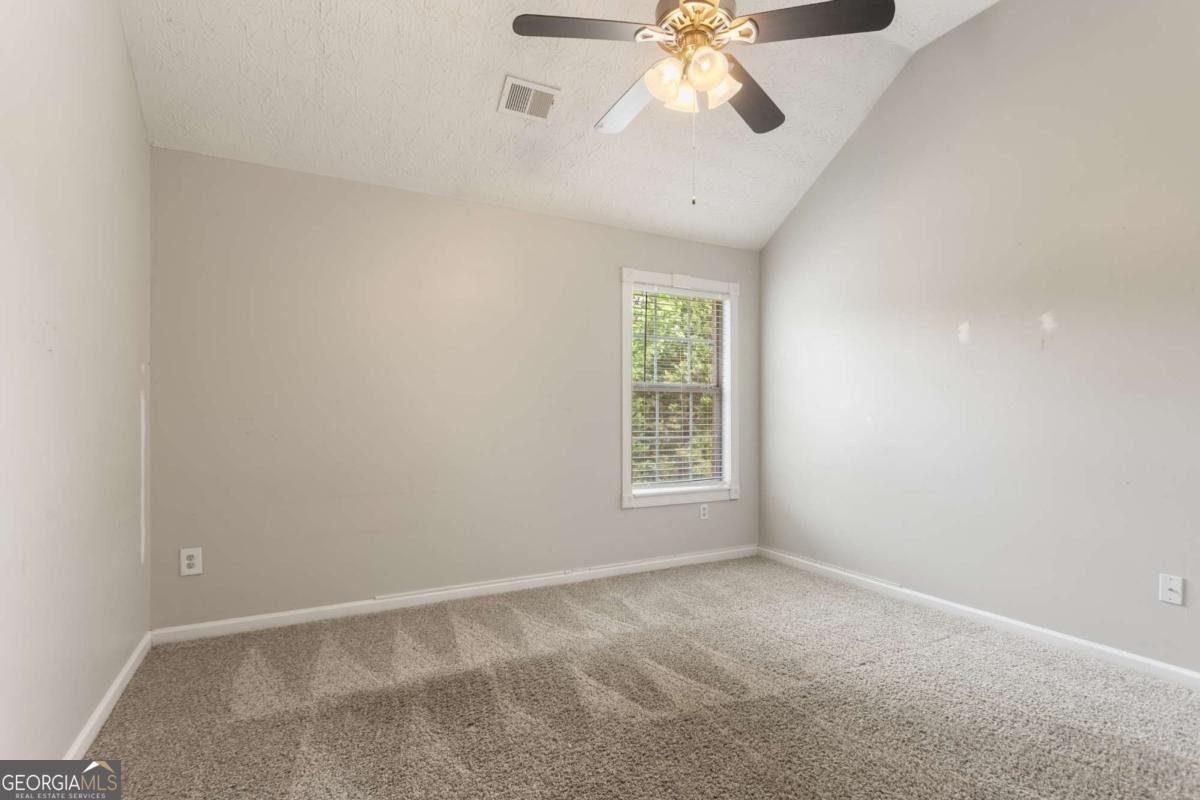 184 Sunflower Meadows Drive Mcdonough - Photo 15