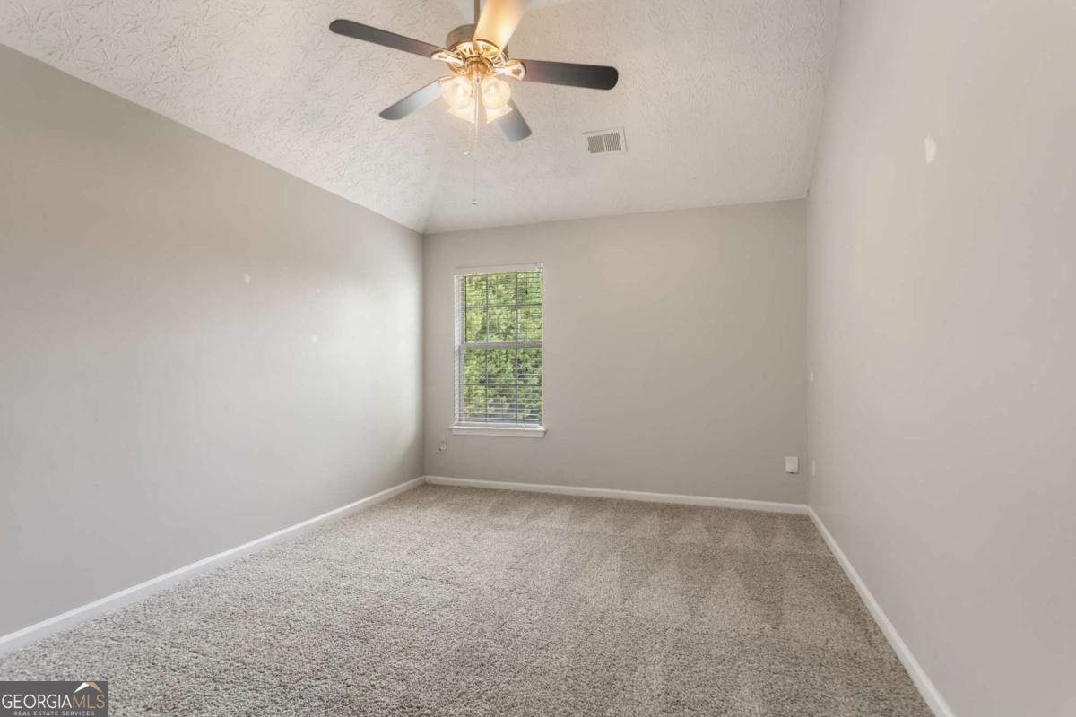 184 Sunflower Meadows Drive Mcdonough - Photo 17
