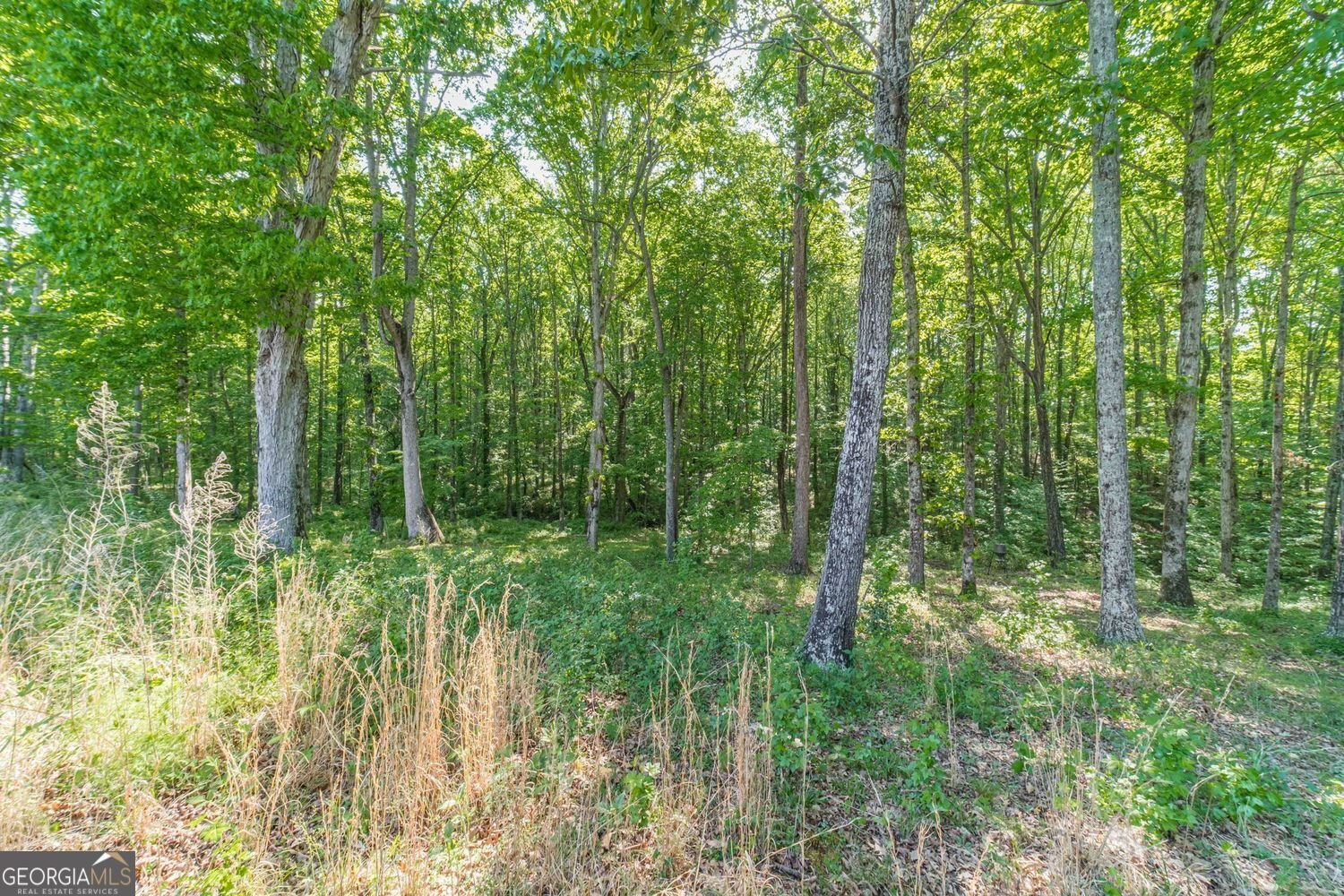 2124 Stonegate Way Monroe - Photo 44