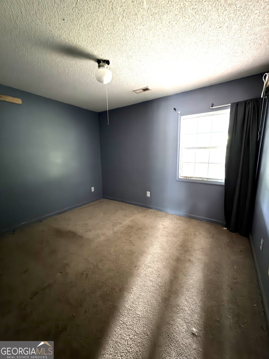 174 Textile Avenue Lavonia - Photo 12