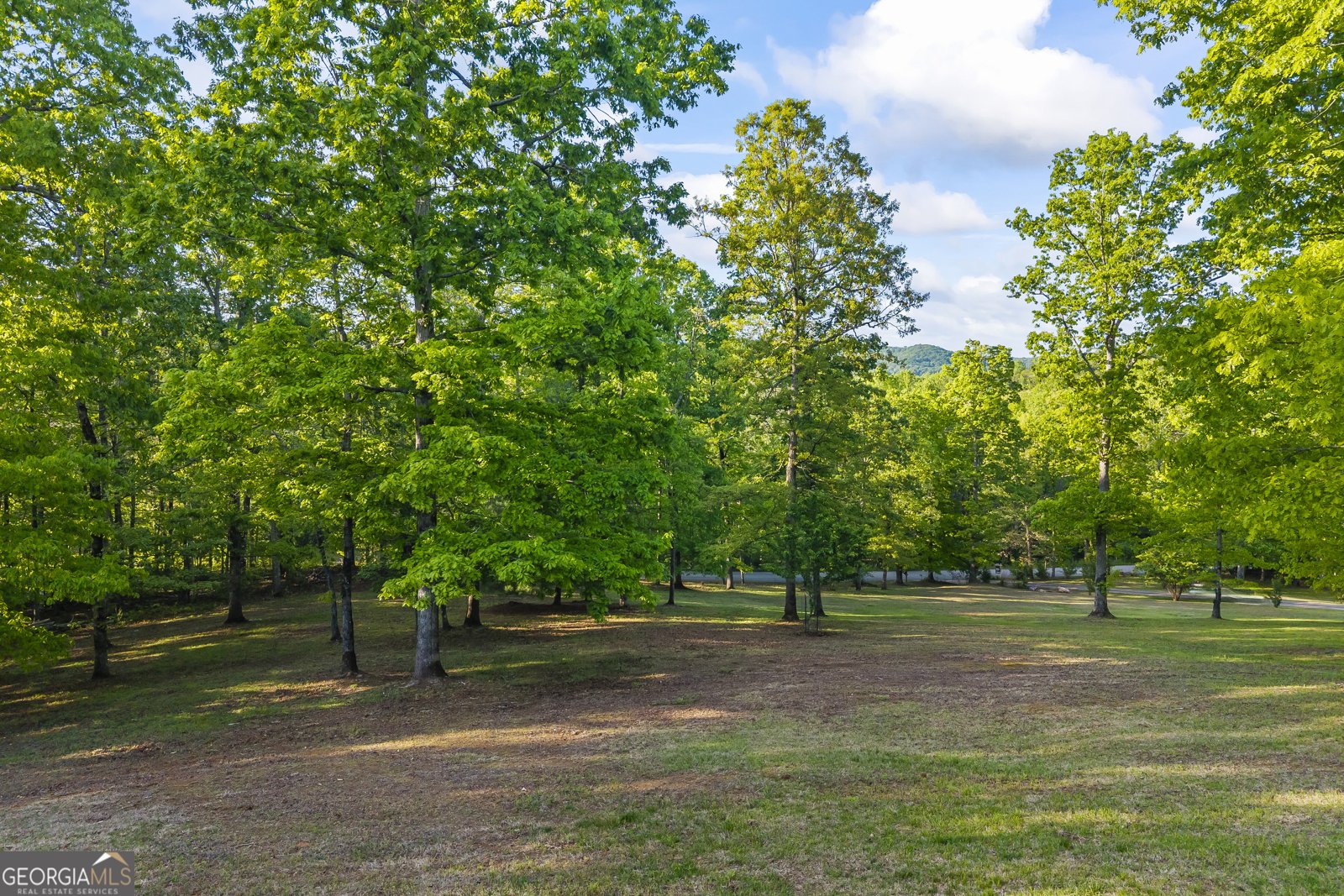 920 Yeoman Lake Road Clarkesville - Photo 10