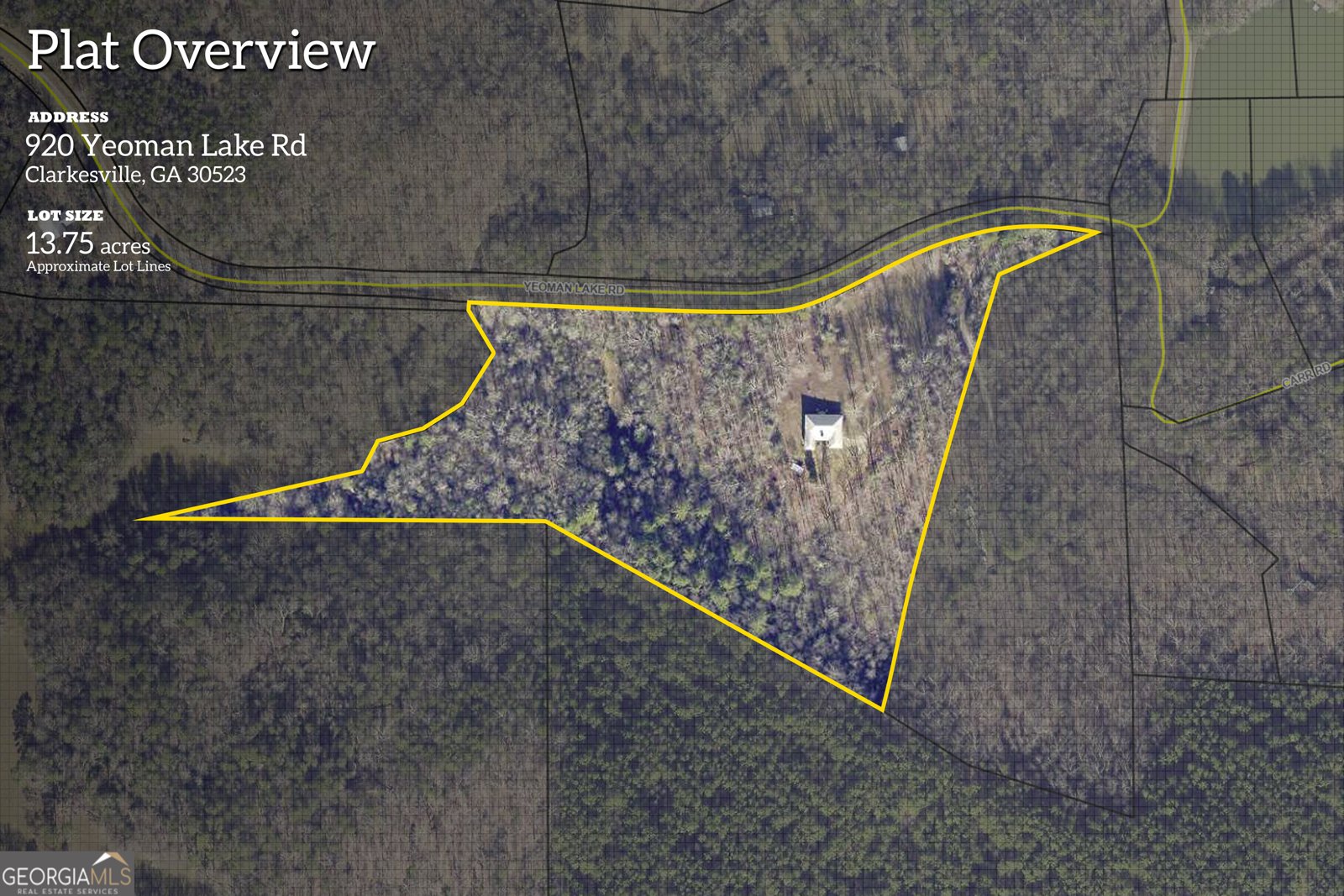 920 Yeoman Lake Road Clarkesville - Photo 6