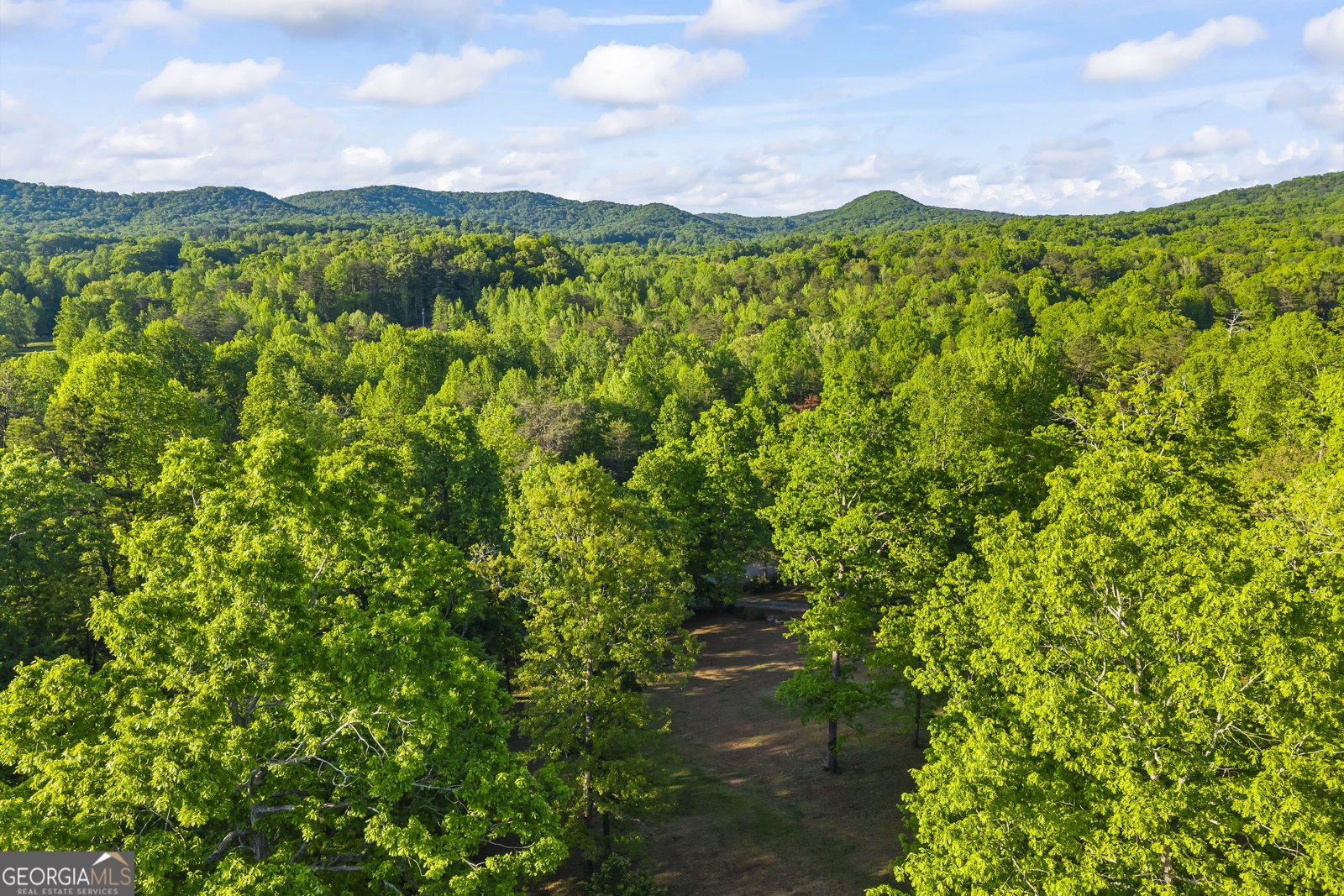 920 Yeoman Lake Road Clarkesville - Photo 7