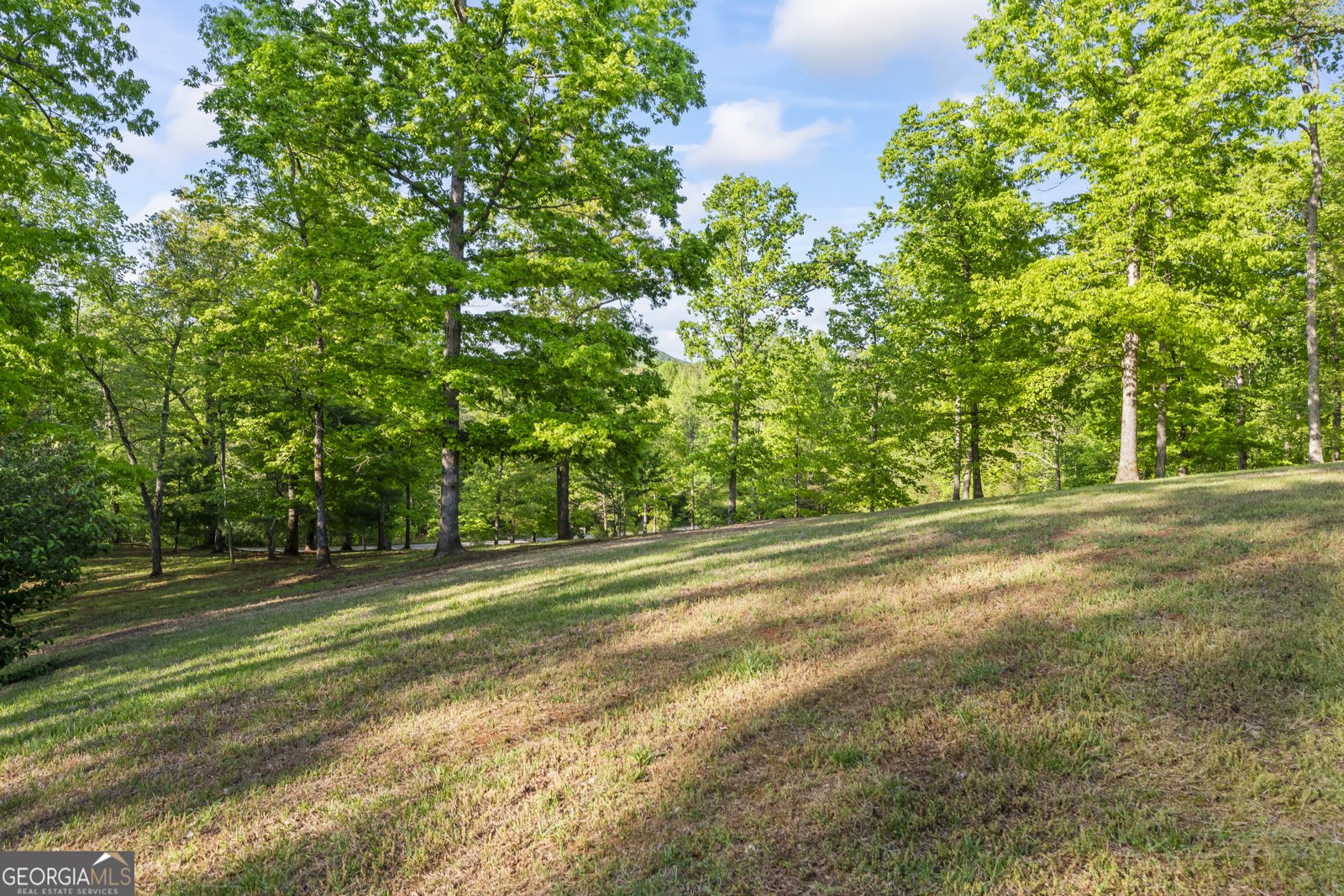 920 Yeoman Lake Road Clarkesville - Photo 70