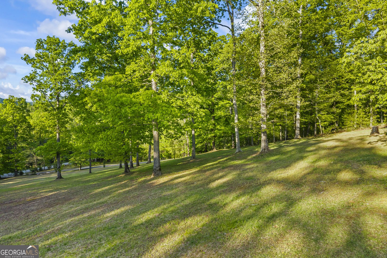 920 Yeoman Lake Road Clarkesville - Photo 74