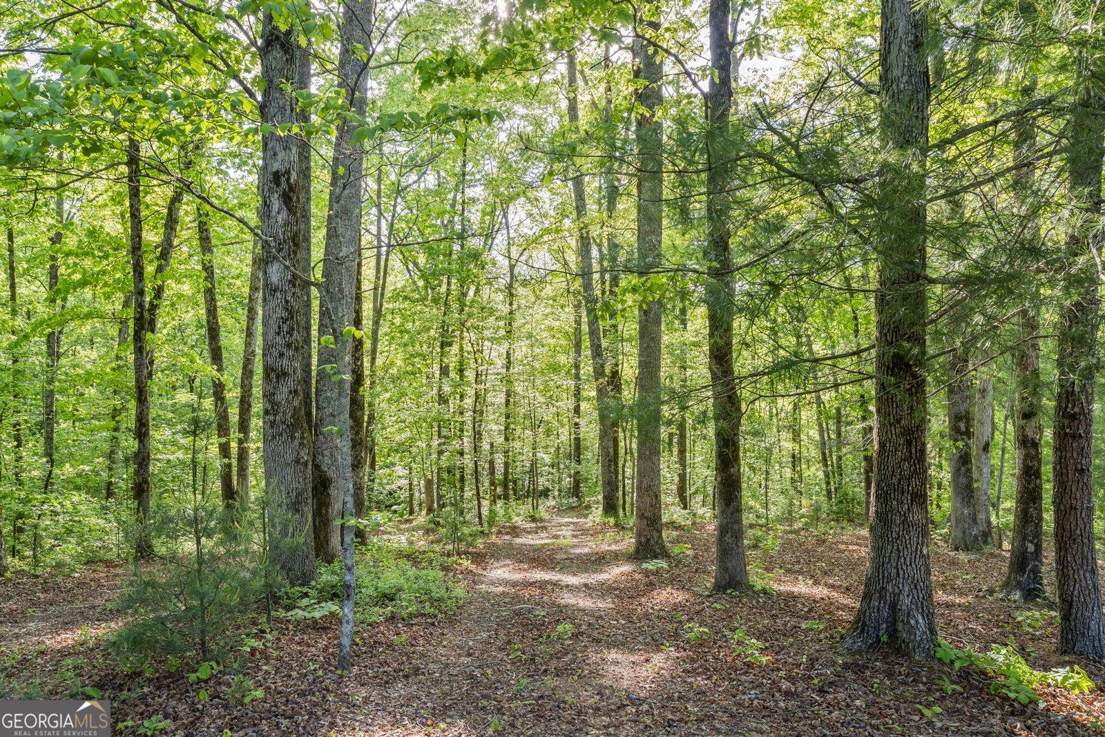 920 Yeoman Lake Road Clarkesville - Photo 75