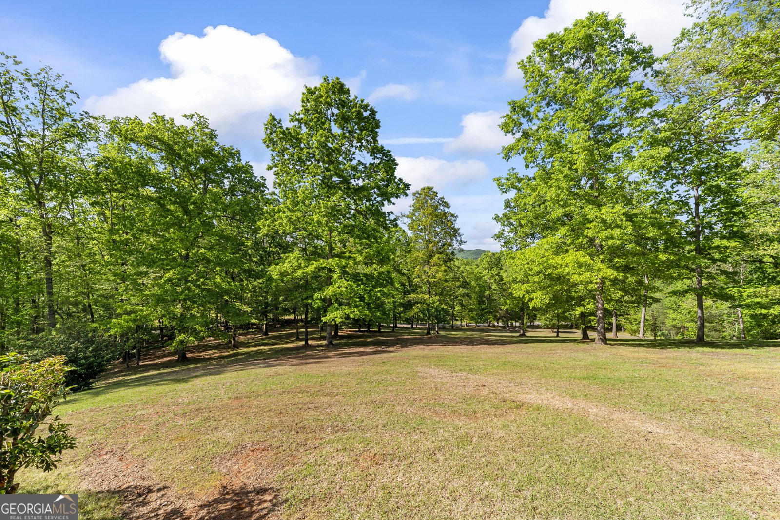 920 Yeoman Lake Road Clarkesville - Photo 77