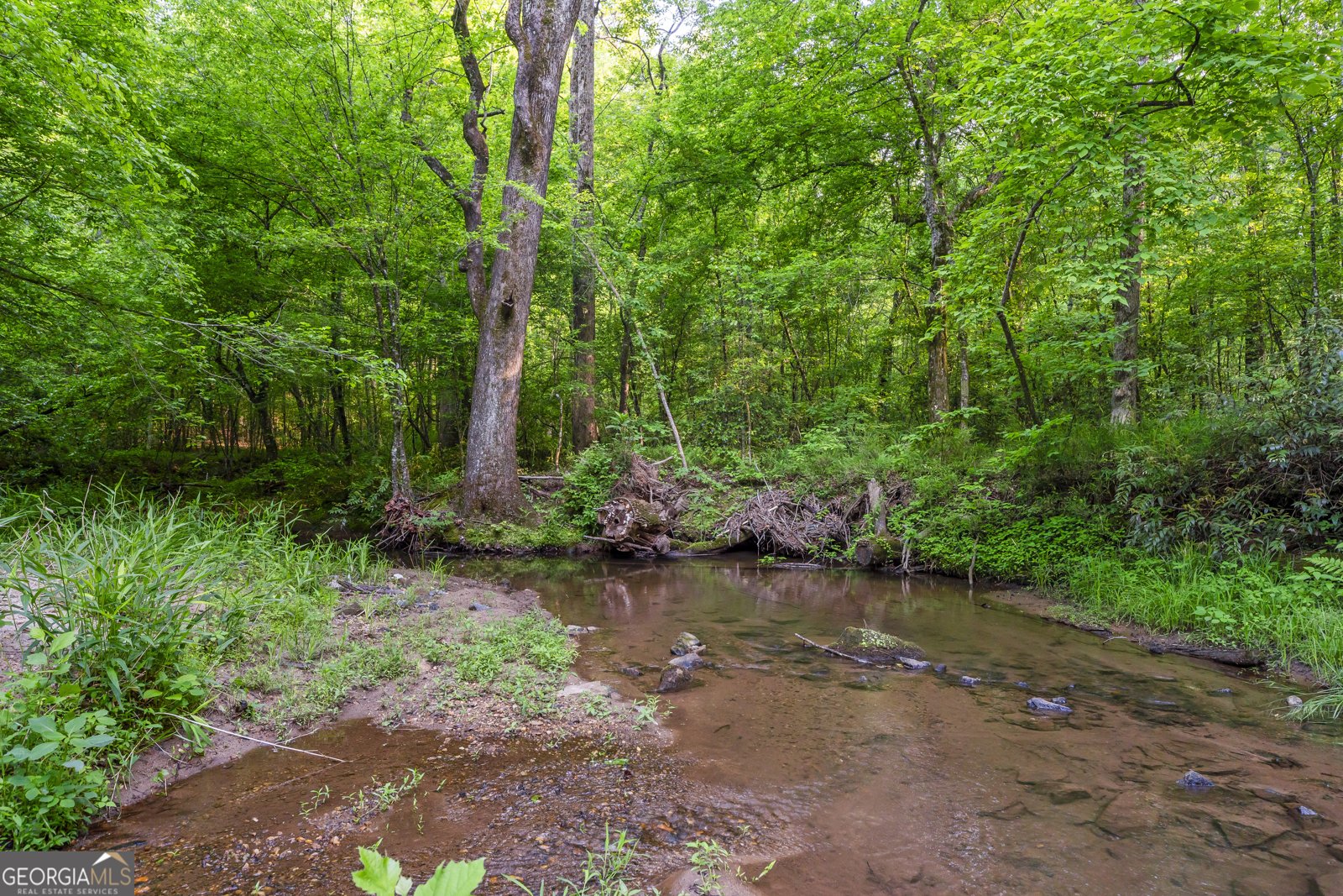 920 Yeoman Lake Road Clarkesville - Photo 79