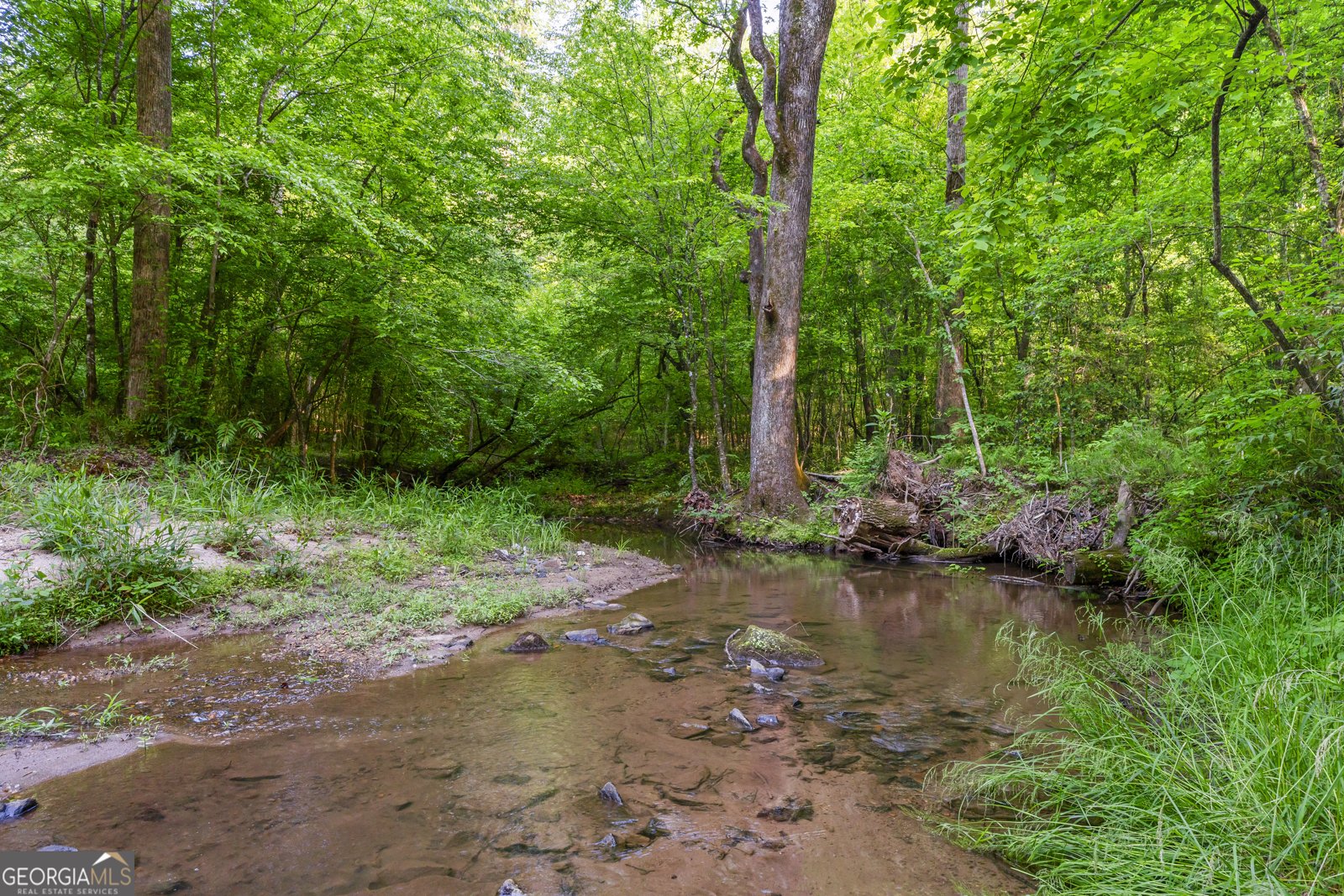 920 Yeoman Lake Road Clarkesville - Photo 8