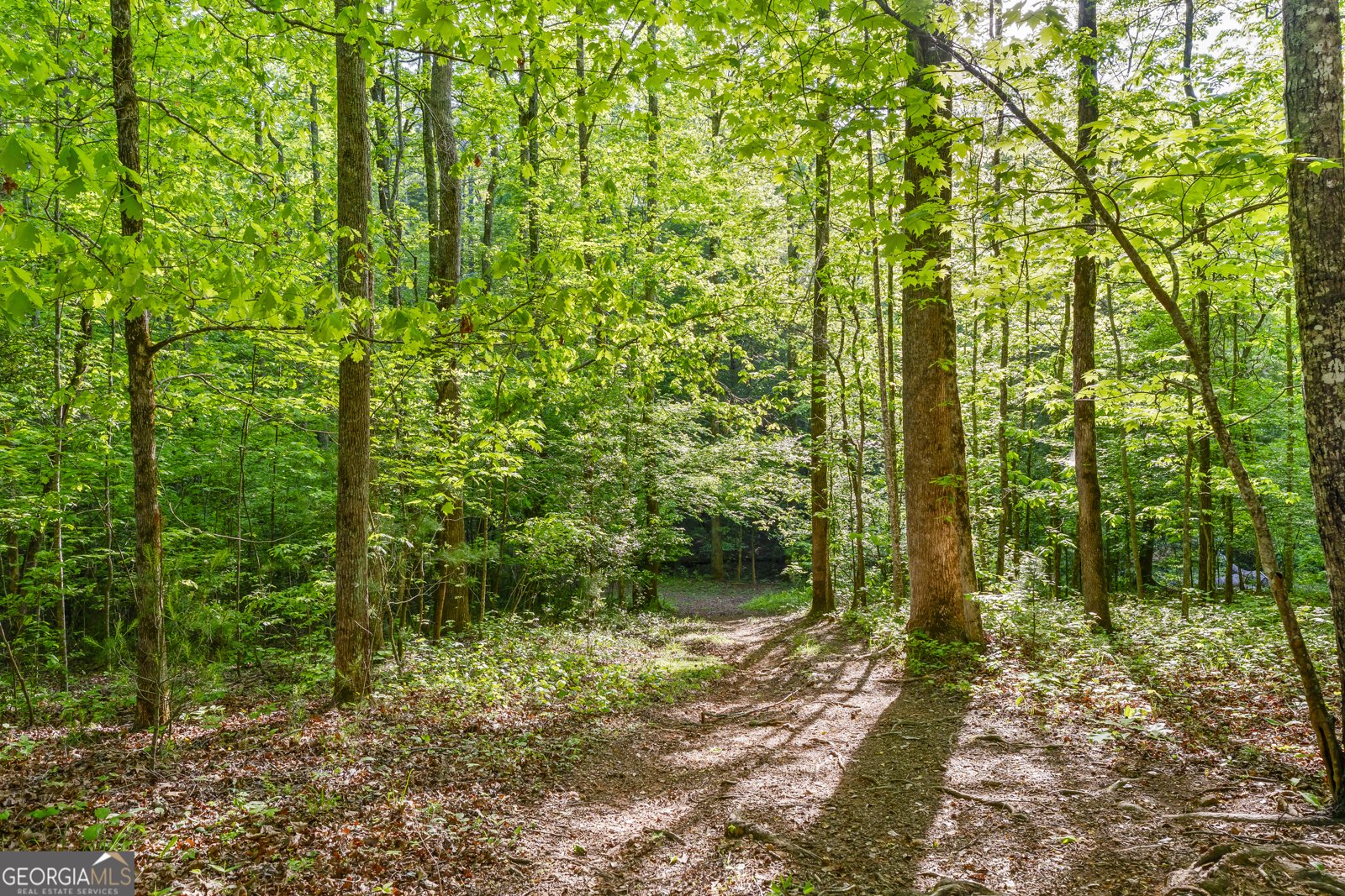 920 Yeoman Lake Road Clarkesville - Photo 80