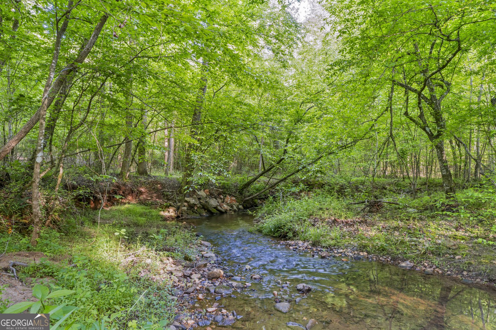 920 Yeoman Lake Road Clarkesville - Photo 81