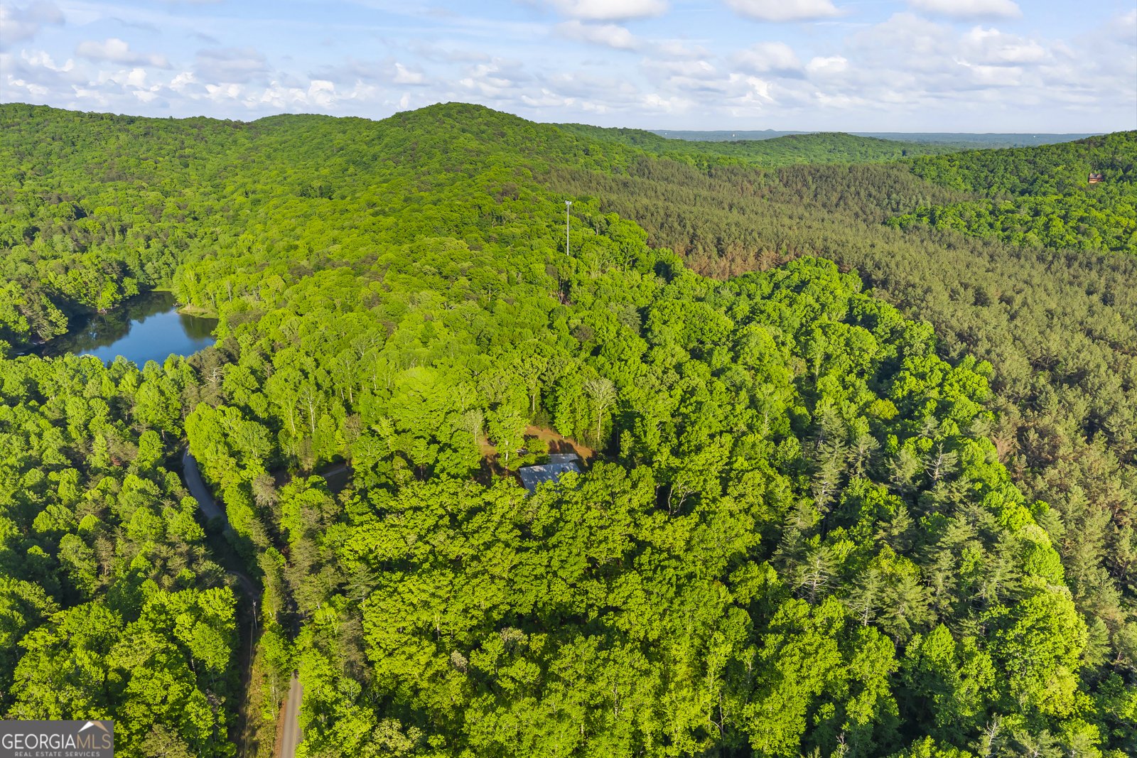 920 Yeoman Lake Road Clarkesville - Photo 88