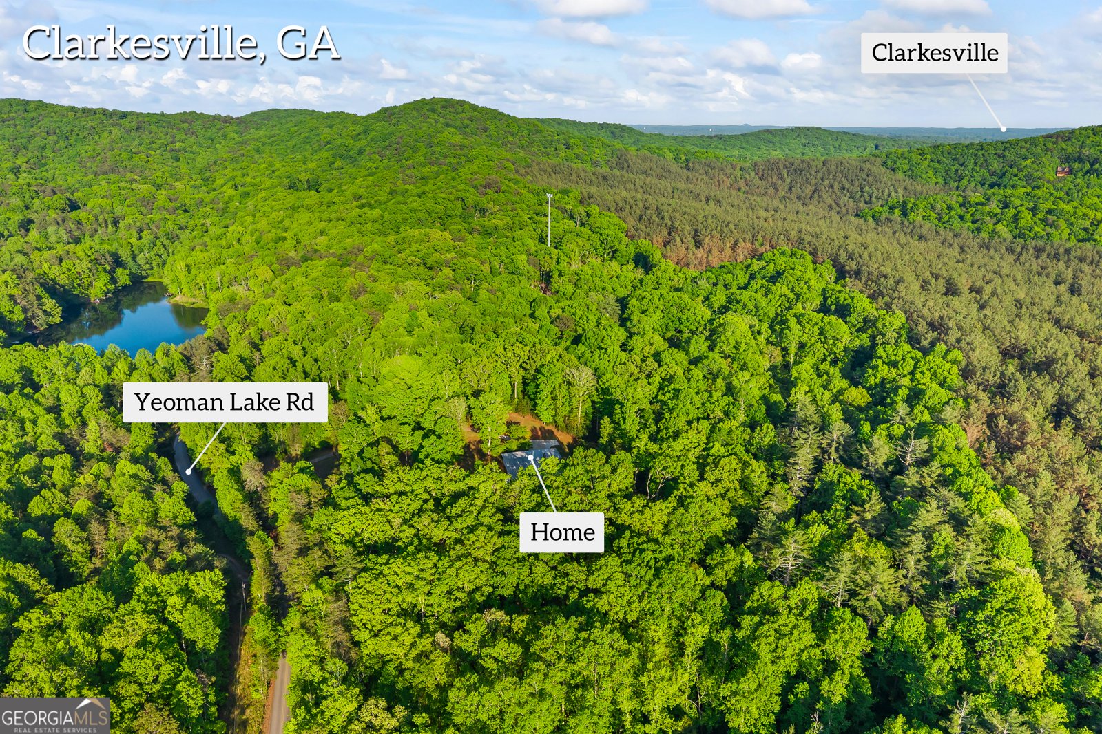 920 Yeoman Lake Road Clarkesville - Photo 89