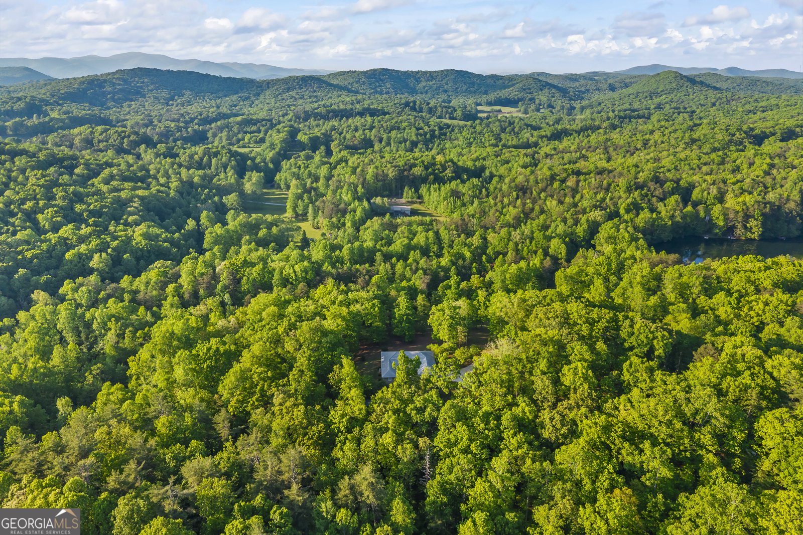 920 Yeoman Lake Road Clarkesville - Photo 90