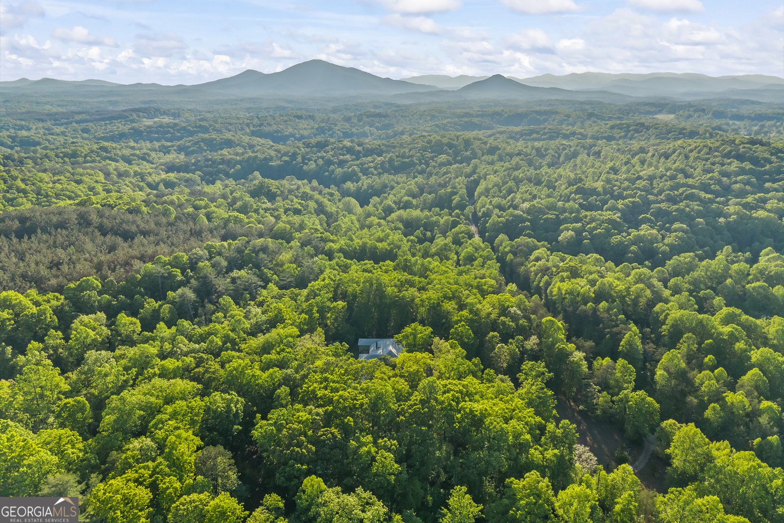 920 Yeoman Lake Road Clarkesville - Photo 93