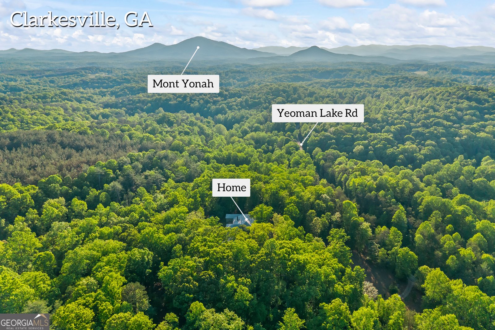 920 Yeoman Lake Road Clarkesville - Photo 94