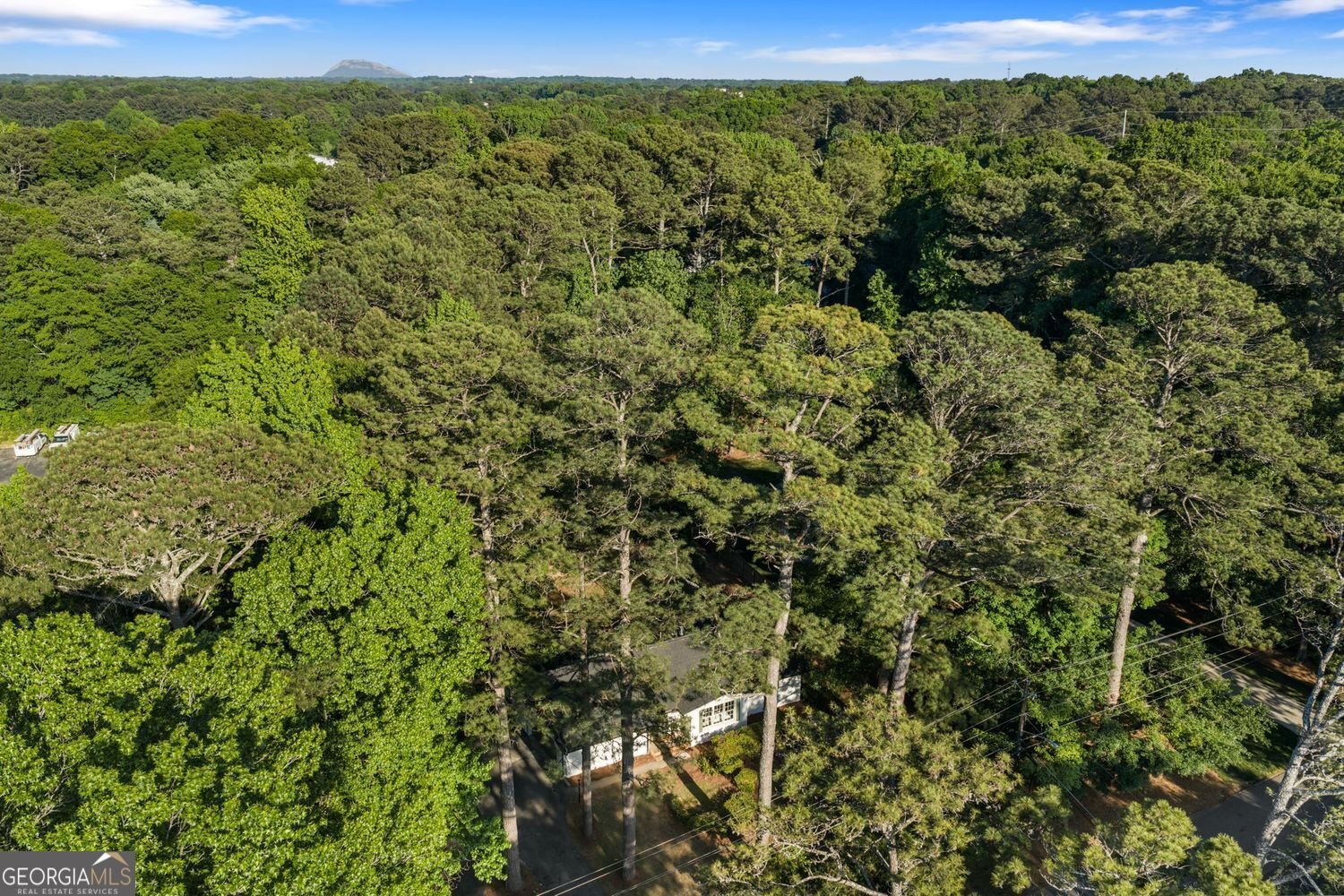 1703 Hudson Road Decatur - Photo 39