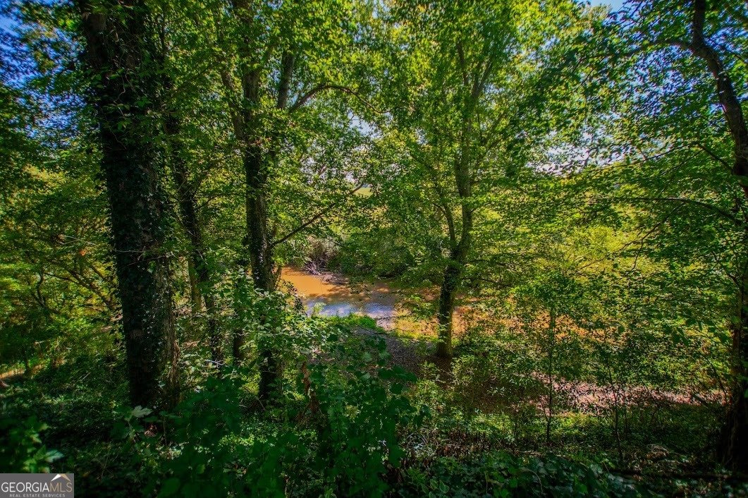 746 Dot Road Bowdon - Photo 74