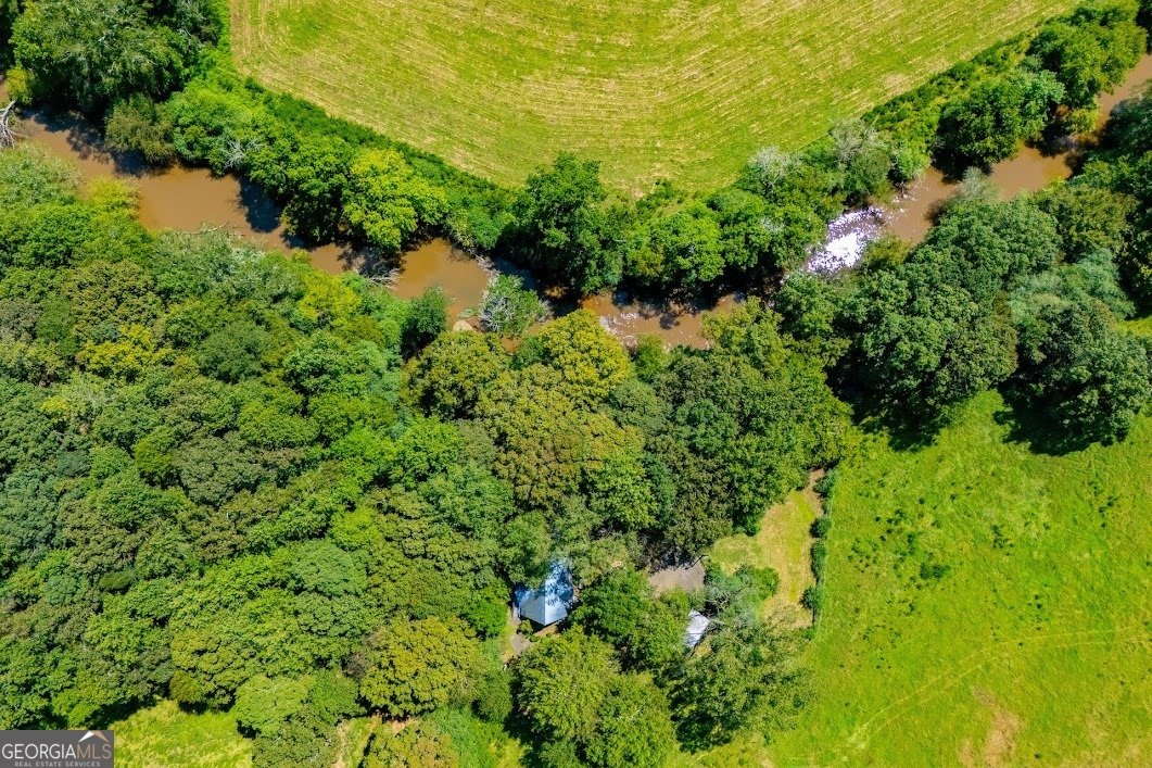 746 Dot Road Bowdon - Photo 86